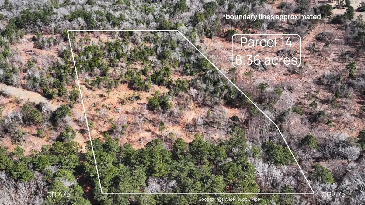 TBD #14 County Road 475a, Henderson, TX 75654 - #1