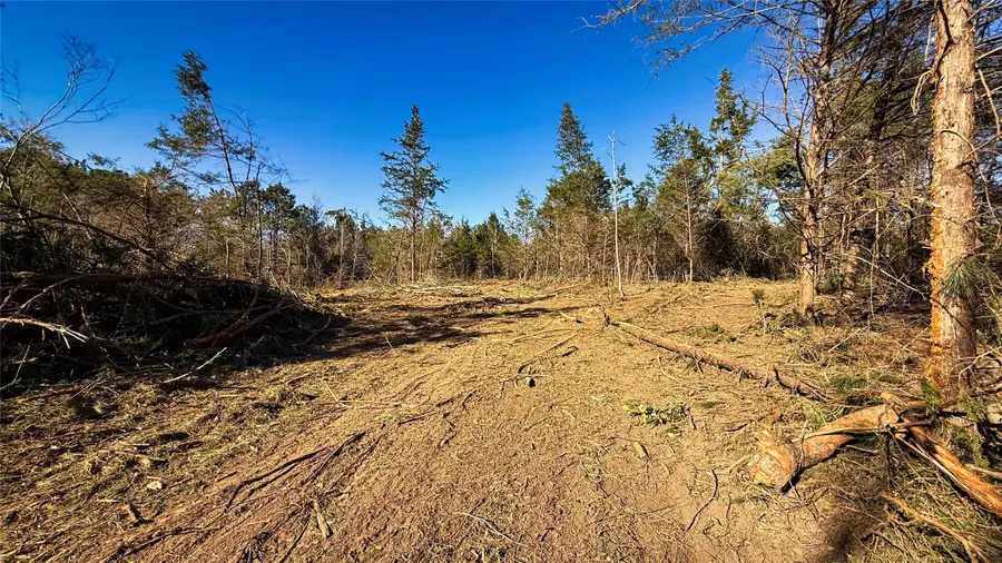 TBD #14 County Road 475a, Henderson, TX 75654 - #2