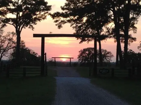 200 ACRES Spring Branch Road, Montgomery, TX 77316