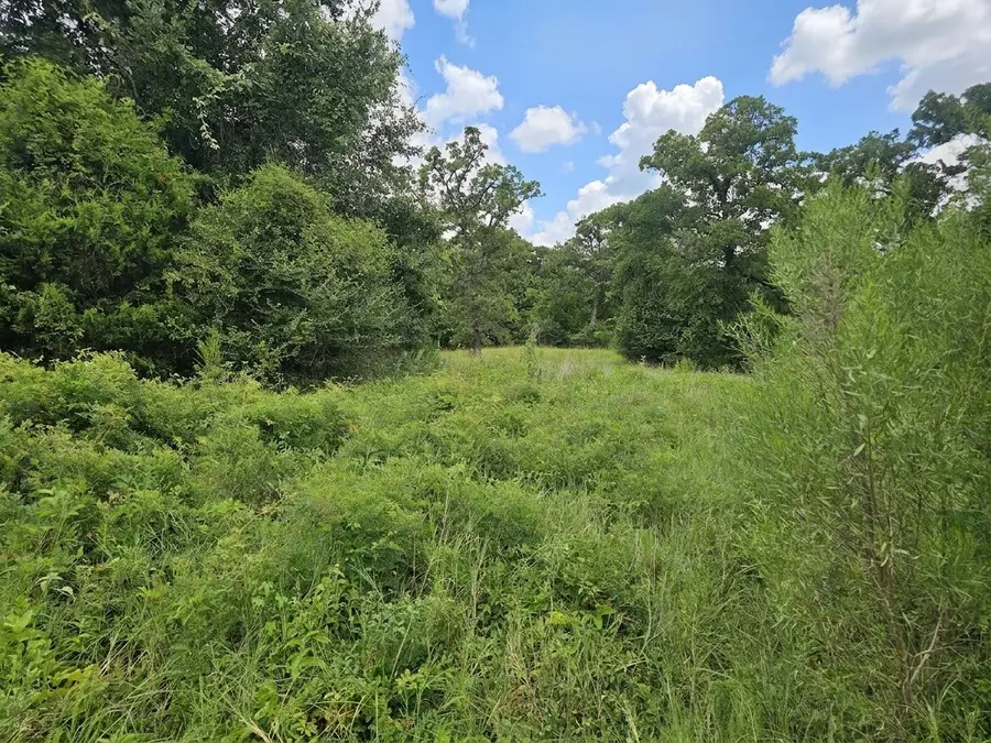 10069 Oxford Lane, Iola, TX 77861 - #3