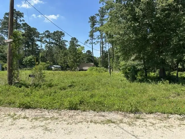7743 Redbud Lane, Plantersville, TX 77363 - #1