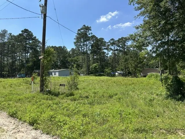 7743 Redbud Lane, Plantersville, TX 77363 - #2
