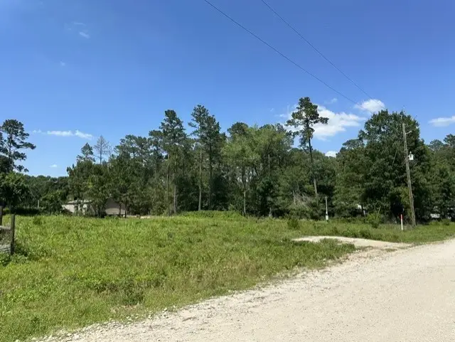 7743 Redbud Lane, Plantersville, TX 77363 - #3