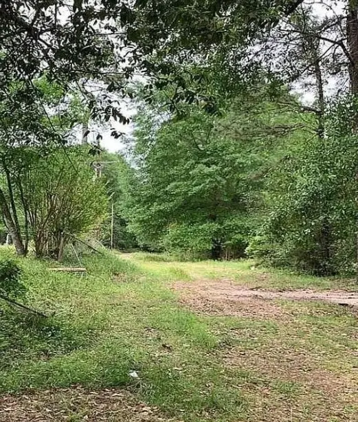 73 Dogwood Lane, Houston, TX 77365