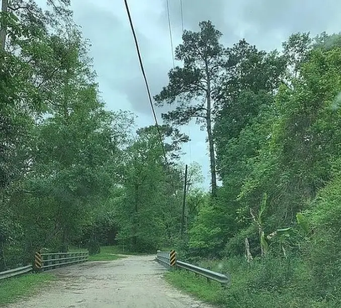 73 Dogwood Lane, Porter, TX 77365 - Image #2