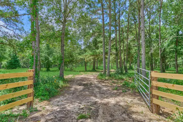 Tract A Bailey Grove Road, Montgomery, TX 77356