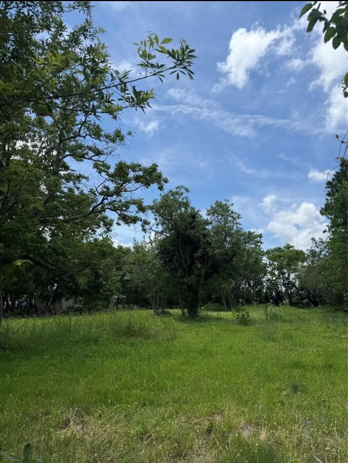 2929 2nd Avenue N, Texas City, TX 77590 - #1