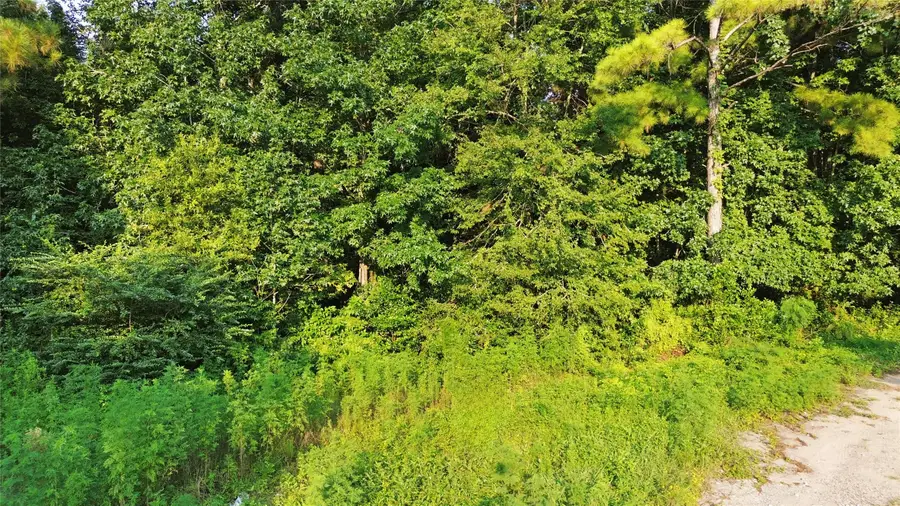 25973 Sussex, New Caney, TX 77357 - #3