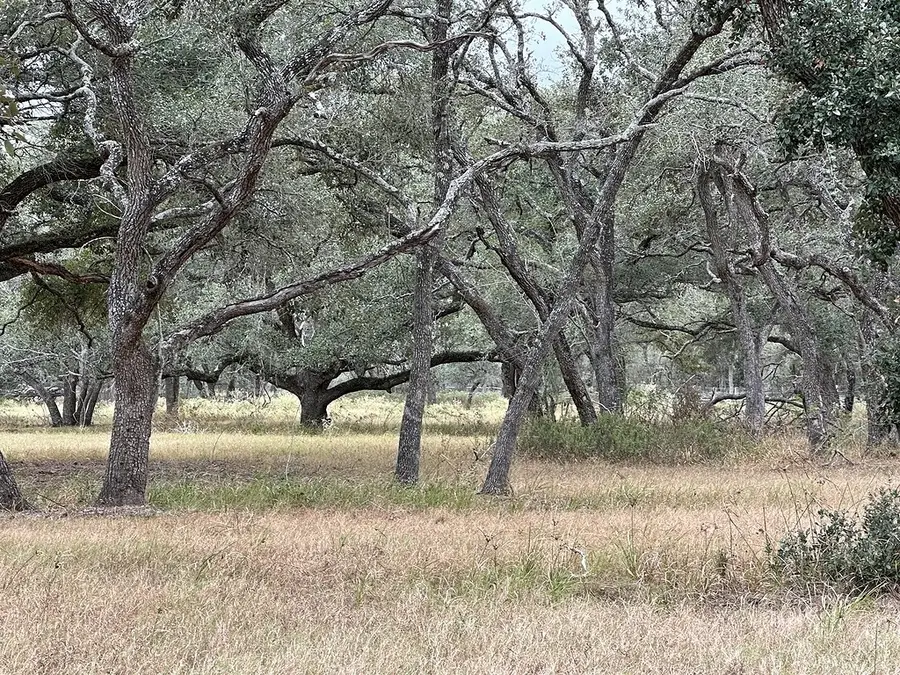 1482 Ramsey Road, Alleyton, TX 78935 - #3