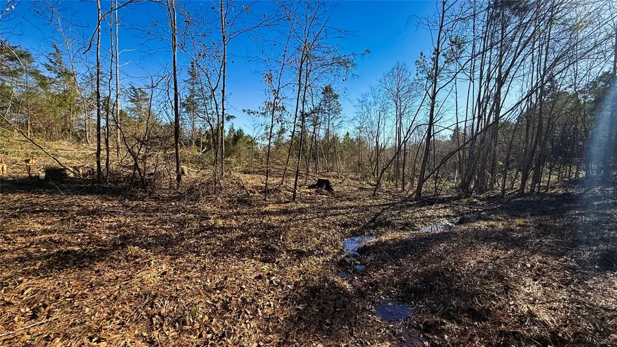 TBD #15 County Road 475a, Henderson, TX 75654 - #2