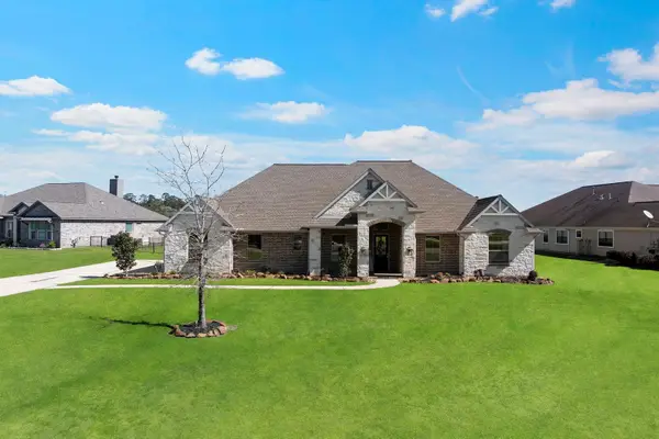 18819 Serene Water Drive, Montgomery, TX 77356