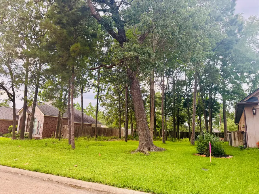 13602 Wintercrest, Montgomery, TX 77356 - #2