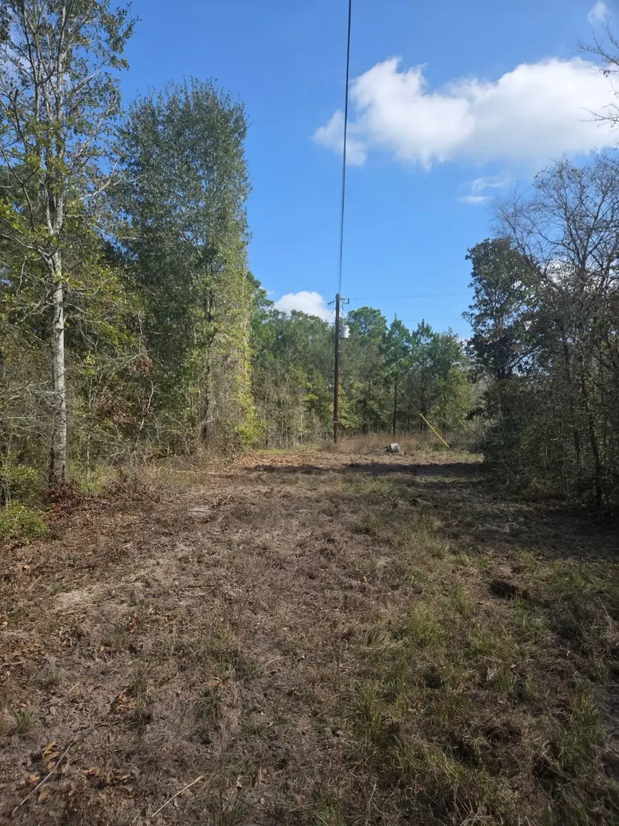 0 Archie Road, Huntsville, TX 77340 - #3