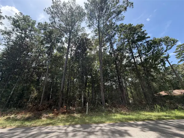 0 W Black Gum Drive, Village Mills, TX 77663