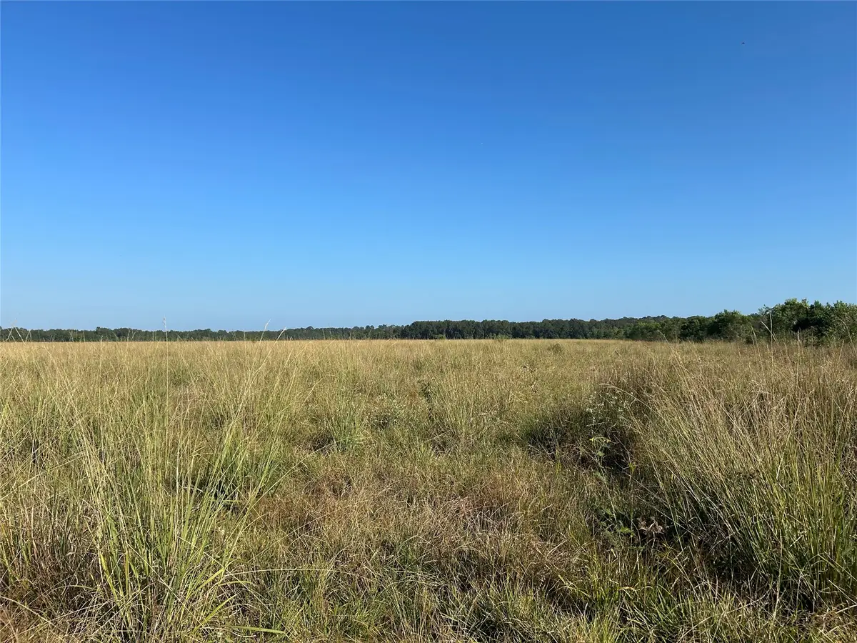 Lot 60 Minnie West Road, Hull, TX 77564 - #1