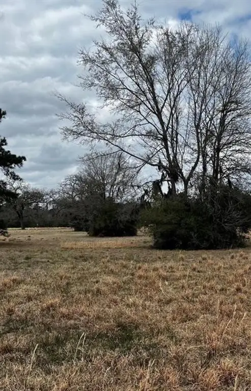 313 Dawns Edge, Trinity, TX 75862 - Image #1