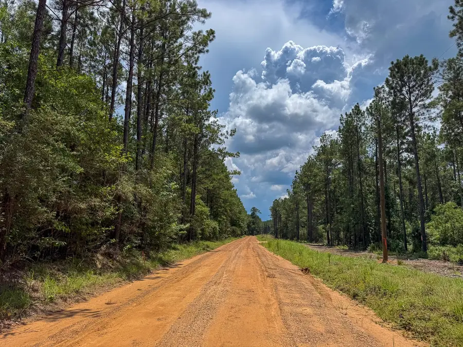 T-2 Benny Griffin Road, Livingston, TX 77351 - #2