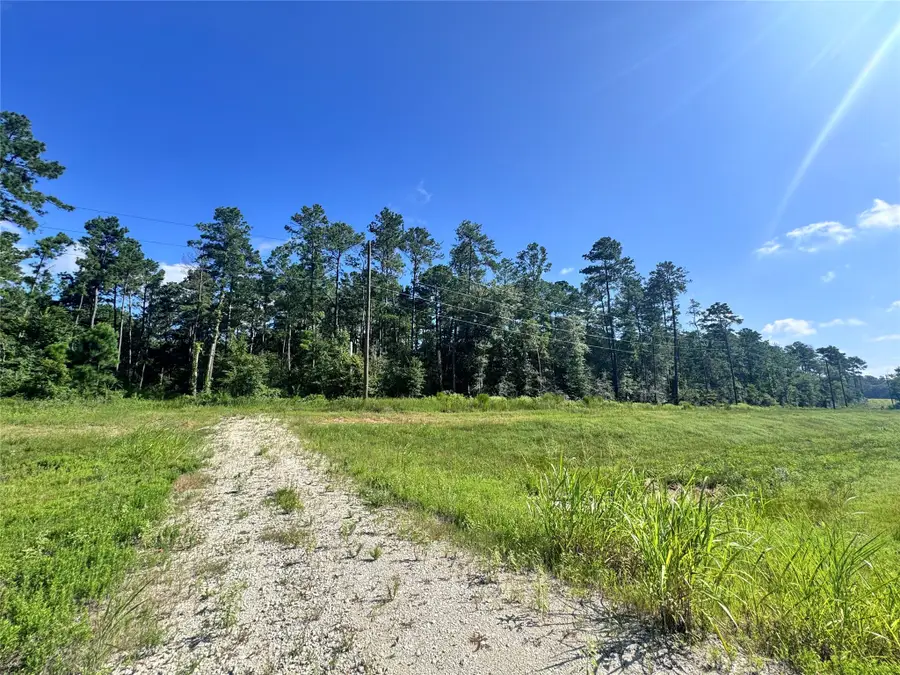 0035 Hwy 249, Plantersville, TX 77363 - #3