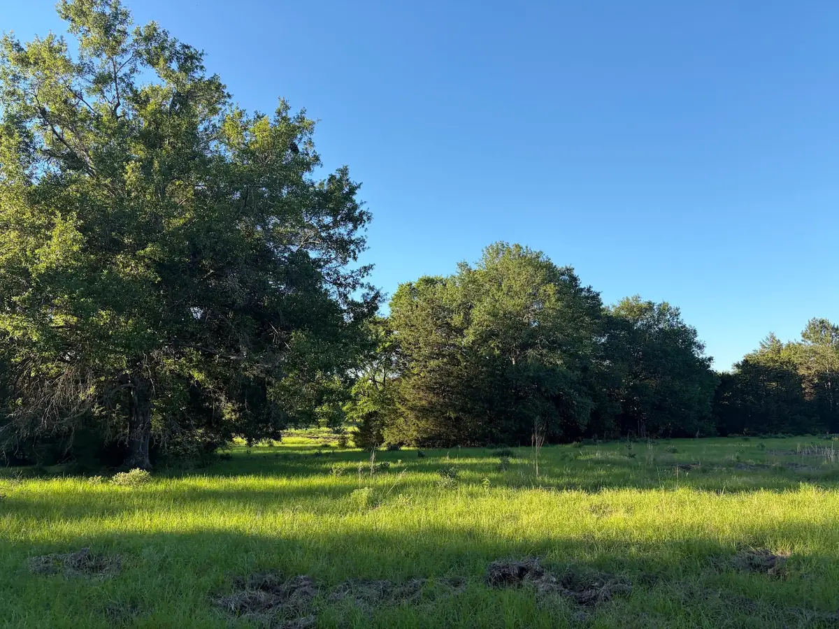 289 County Road 261, Oakwood, TX 75855 - #1