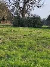 267 / 254 Shetland Court, Angleton, TX 77515 - #3