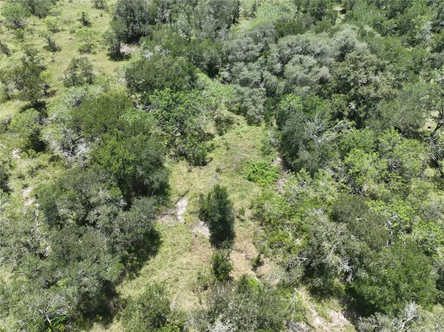 Lot 3 County Road 420, Waelder, TX 78959 - #2