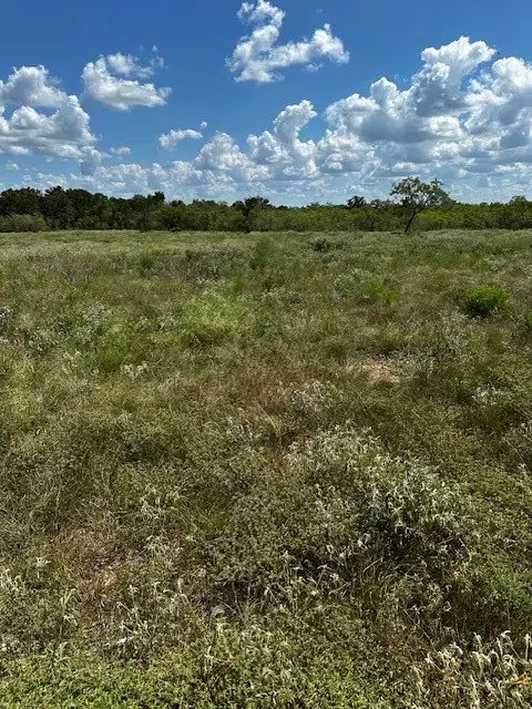 Lot 3 County Road 420, Waelder, TX 78959 - #3