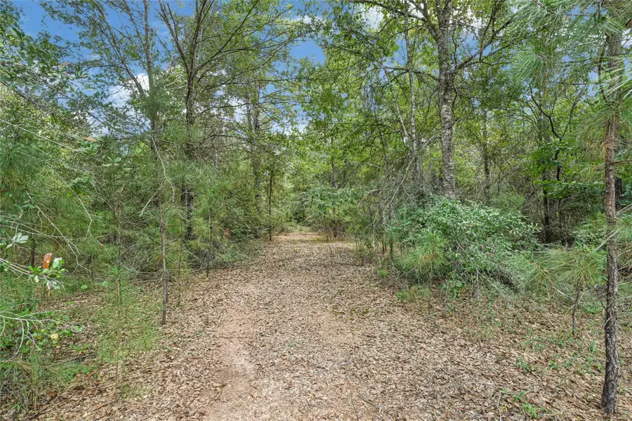 21490 Big Buck Drive, Cleveland, TX 77328 - #2