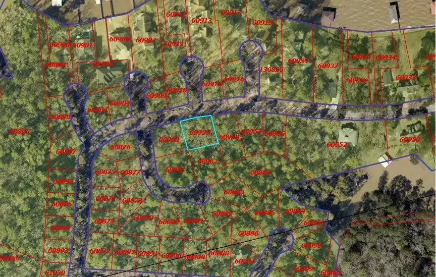 22296 La Jolla Court, Huntsville, TX 77320 - #2