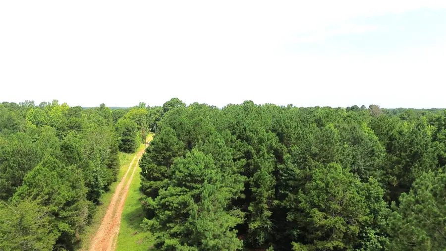 462 Cr 1655, Crockett, TX 75835 - #2