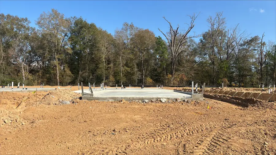 20907 Wildbird Cherry Lane, Porter, TX 77365 - Image #2