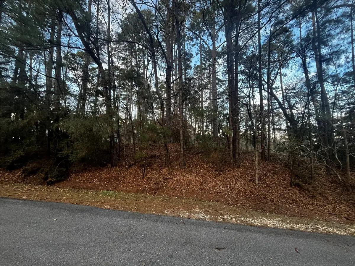 26 Sunny Hill Drive, Coldspring, TX 77331 - #1