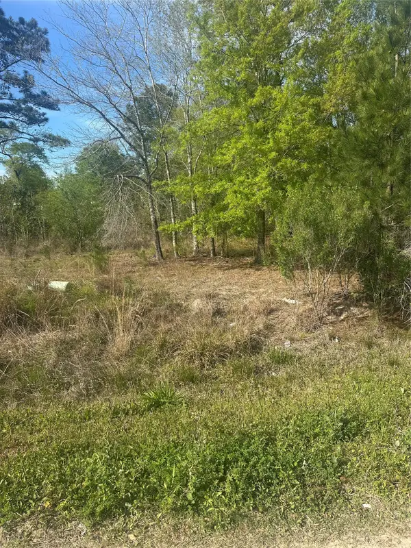 867 County Road 3415, Cleveland, TX 77327