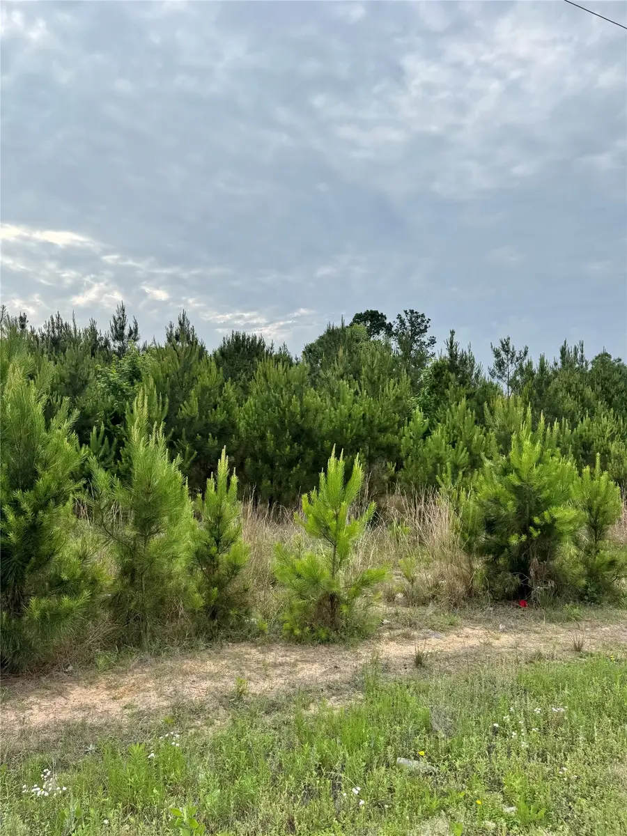 576 County Road 3773, Cleveland, TX 77327 - #2