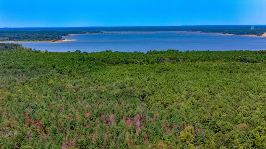 185 Oak Grove Road, Huntington, TX 75949 - #2