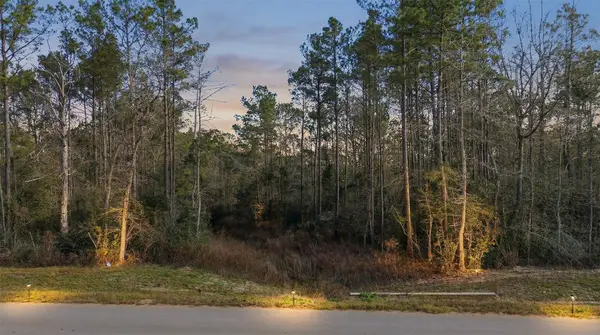 10733 Ruger Road, Willis, TX 77378