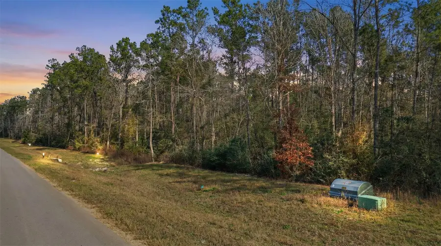 10733 Ruger Road, Willis, TX 77378 - #2