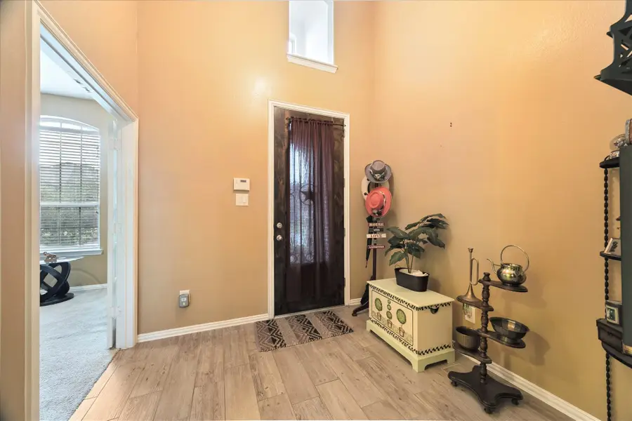 13117 Green Shores Lane, Rosharon, TX 77583 - Image #3