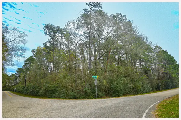 7318 Burr Oak Trace, Magnolia, TX 77354