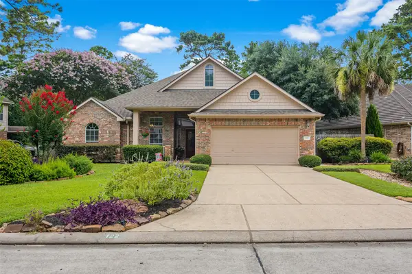 122 S Evangeline Oaks Circle, The Woodlands, TX 77384