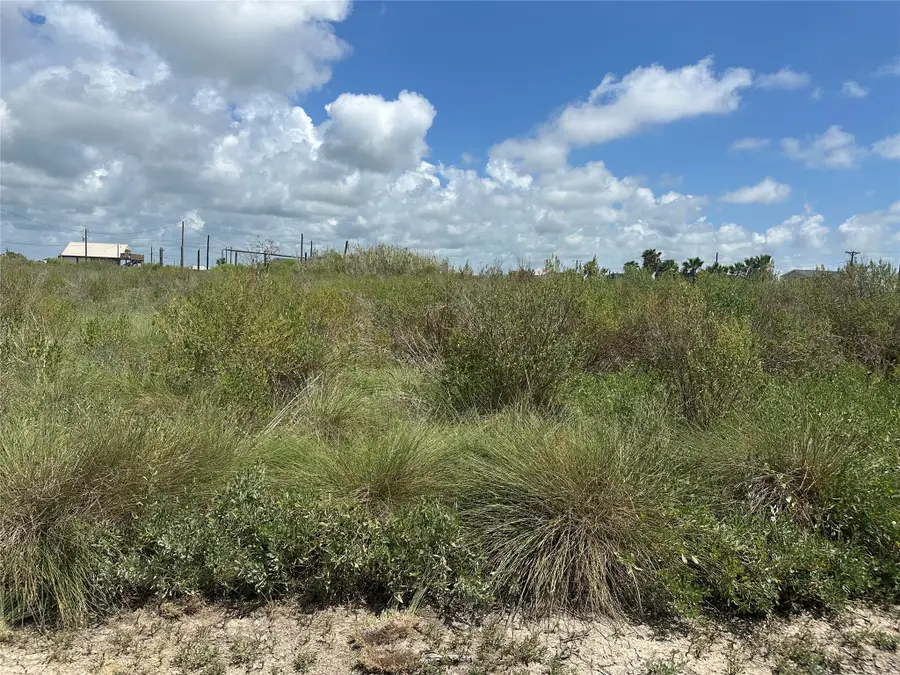647 Flamingo Street, Sargent, TX 77414 - #3