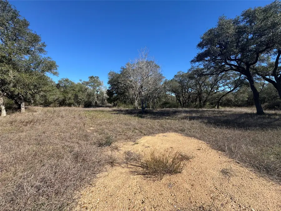 TBD County Road 160, Columbus, TX 78934 - #2