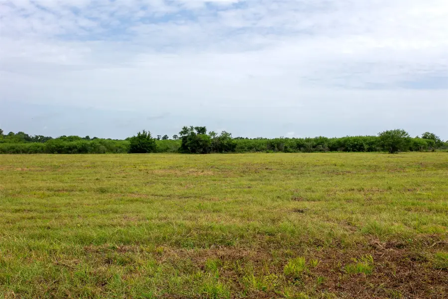 TBD Cr 207a, Plantersville, TX 77363 - Image #2