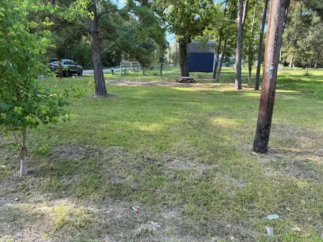 1 Cheatham Road, Houston, TX 77336 - #3