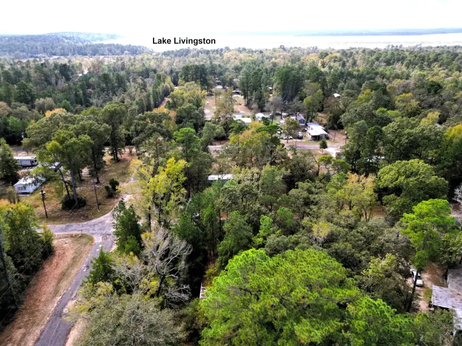 307 Cherokee Drive, Trinity, TX 75862 - #2