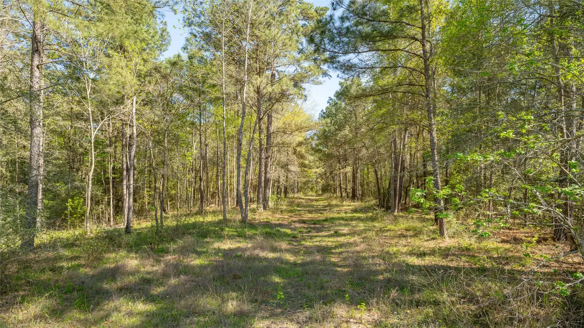 000 Bighorn Road, Huntsville, TX 77358 - #1