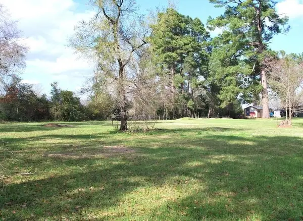 0 E Oak Ridge Drive, Point Blank, TX 77364