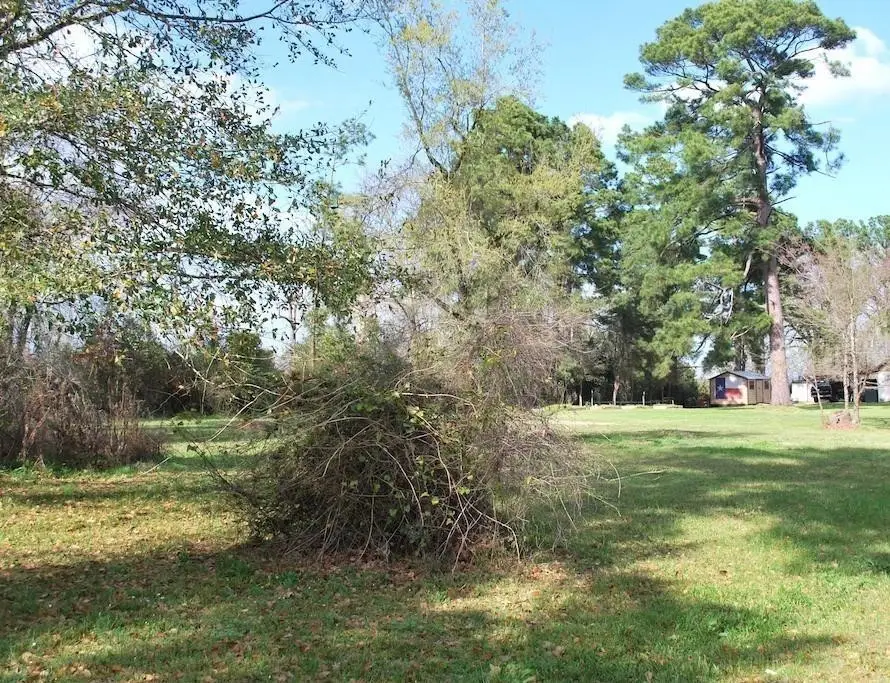 0 E Oak Ridge Drive, Point Blank, TX 77364 - #3