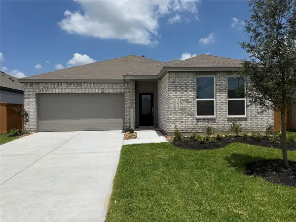 22026 Maddaloni View Drive, Hockley, TX 77447