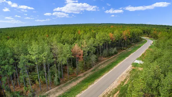 10886 Ruger Road, Willis, TX 77378