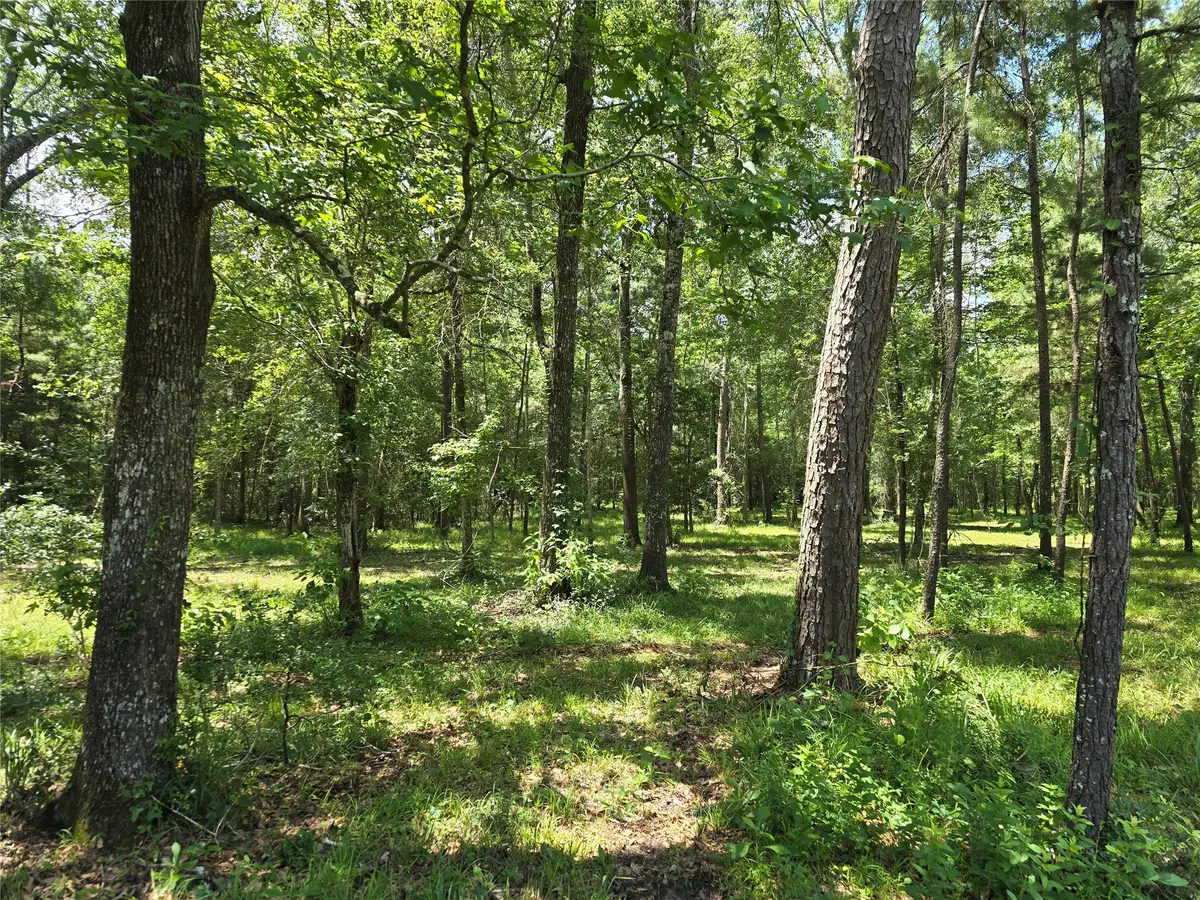 000 TBD Hwy 150 W, Coldspring, TX 77331 - #1